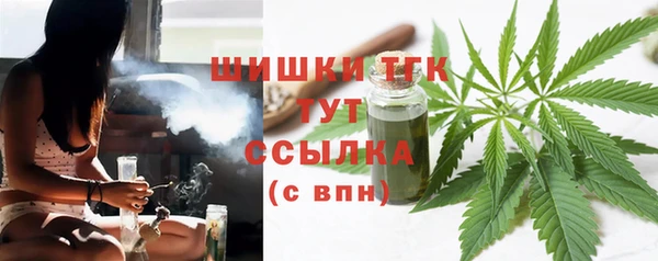индика Армянск