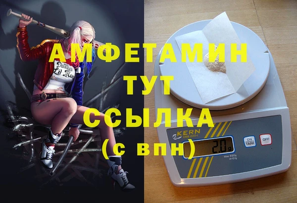 спиды Аркадак