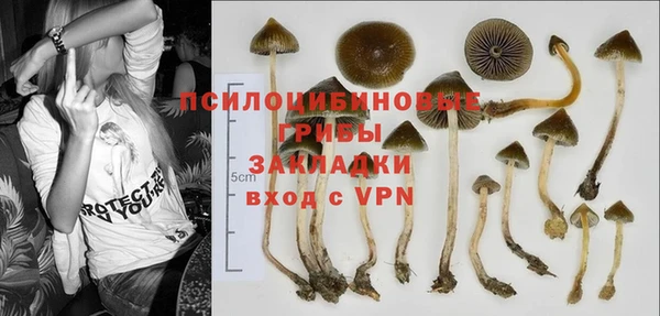 ECSTASY Арсеньев