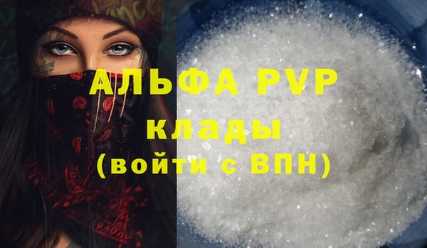 спиды Аркадак