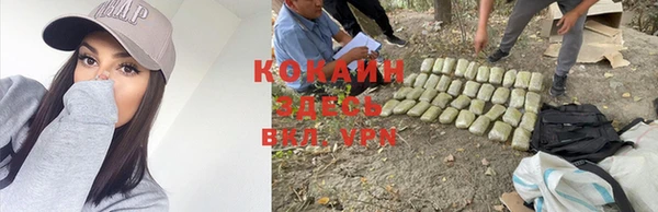 индика Армянск