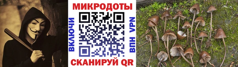 купить   ОМГ ОМГ сайт  Галлюциногенные грибы Psilocybine cubensis  Реж 